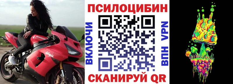 как найти   Киров  Галлюциногенные грибы GOLDEN TEACHER 